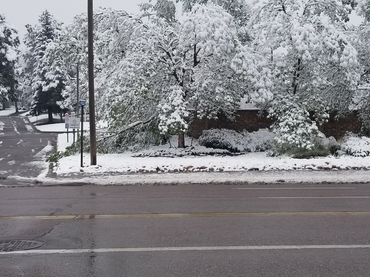 HideMyError's tweet photo. The trees broke before the Coloradans did.
#helloblizzard #itsmay #why https://t.co/fXnG9PlfBf