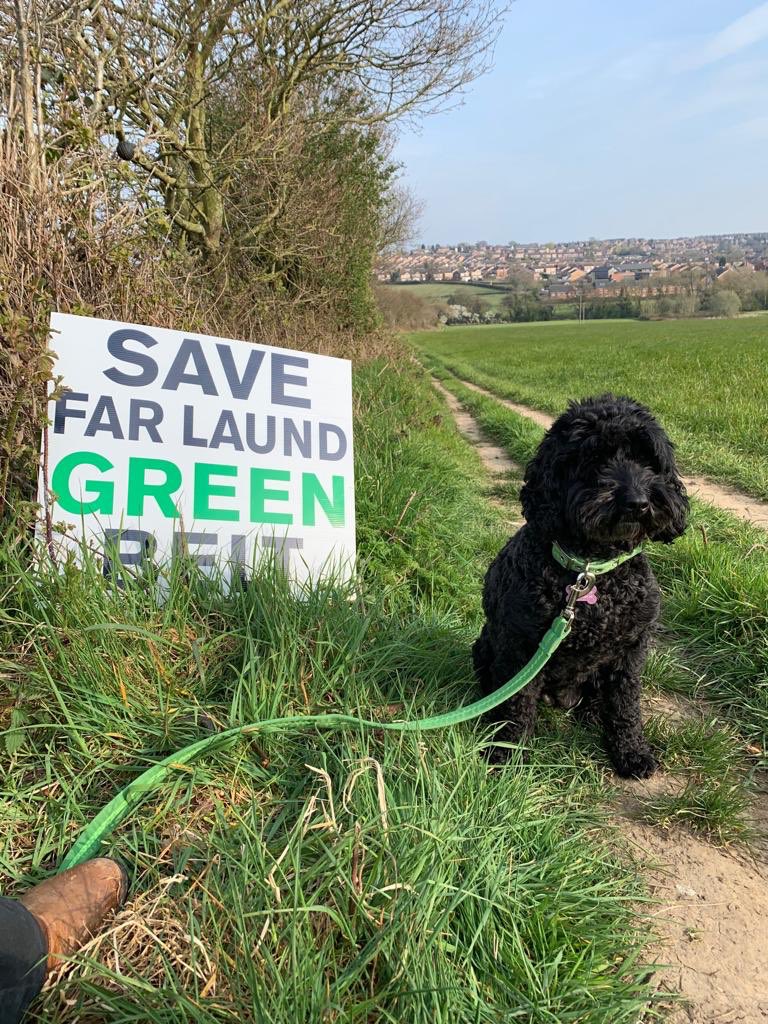 savefarlaundgr1's tweet photo. Tomorrow night (22/5/19), at 6.30pm outside Ripley Town Hall, Market Place #Ripley #Derbyshire Please join us to protest against green belt deletion and inappropriate housing developments across AV! 💚💚💚#SaveAmberValleyGreenBelt #SaveOurGreenBelt #SaveFarLaundGreenBelt #Belper https://t.co/YaKPUJTyIE