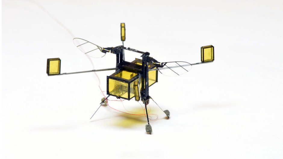 kolinz5's tweet image. Each #scientificproject  successfully funded through @scientificcoin  returns 5% of the amount collected (these funds are distributed annually between the ScientificCoin holders). 
#Transparency , fair rating and dedication towards the success of the #platform is our mission.