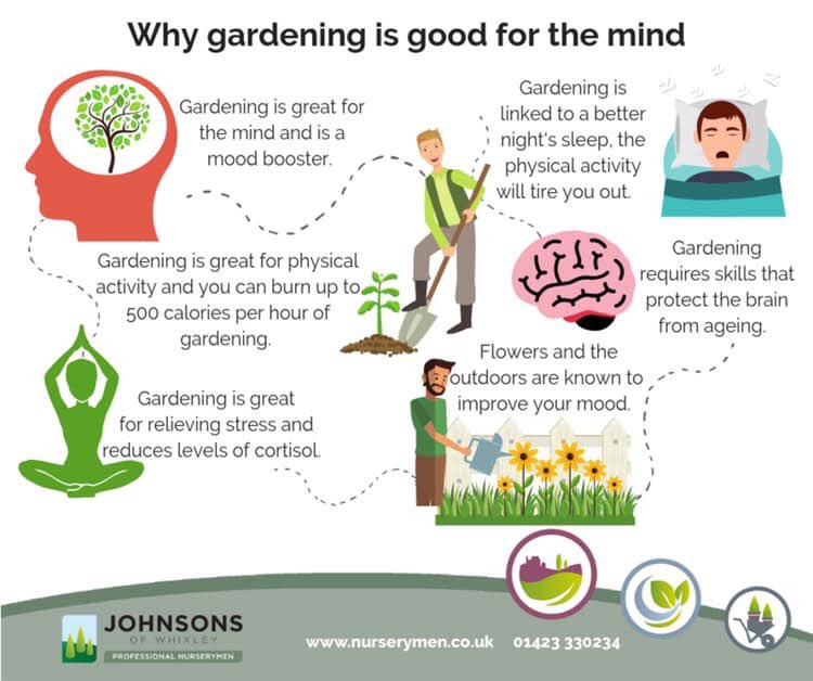 SaveCRAllotment's tweet image. saved this from last week's #mentalhealthawarenessweek campaigns. gardening is indeed great for you. so glad we won our judicial review to save Cemetery Road allotments @MindCharity