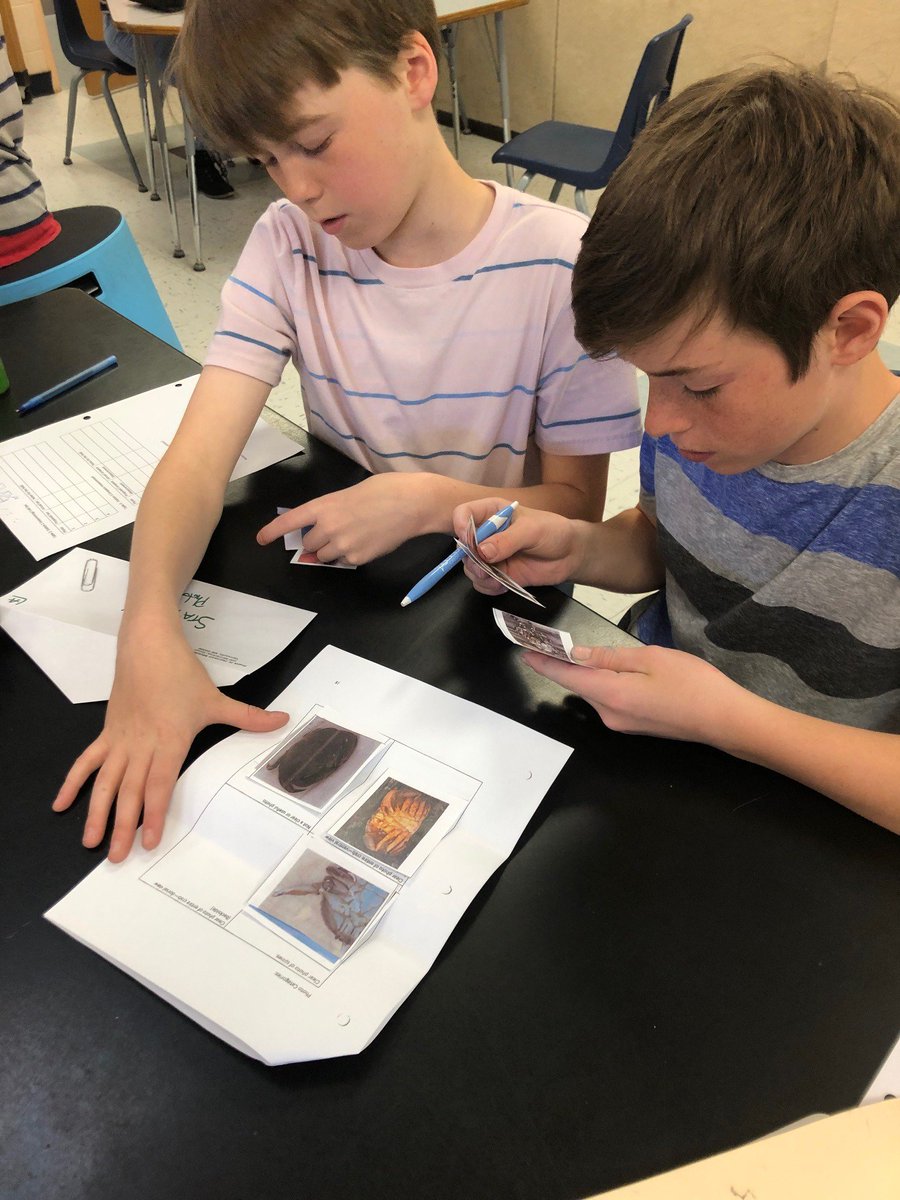 morgancuthbert's tweet photo. Ss having a blast with @GMRI Vital Signs Pilot. Getting ready for our Mission to the Intertidal Zone with some station lab work.  @MAINETOY @YarmouthHMS Becoming expert scientists. #citizenscience https://t.co/GP0Dt4l548