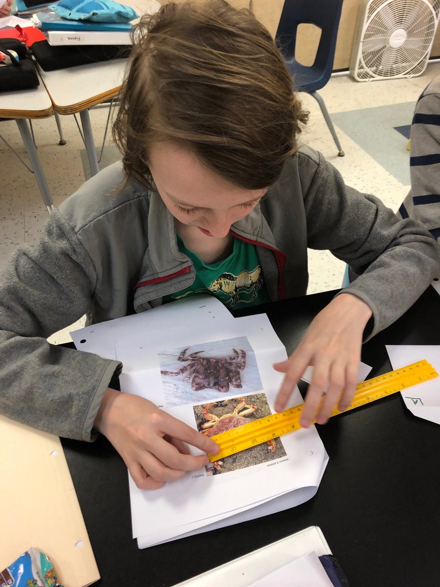 morgancuthbert's tweet photo. Ss having a blast with @GMRI Vital Signs Pilot. Getting ready for our Mission to the Intertidal Zone with some station lab work.  @MAINETOY @YarmouthHMS Becoming expert scientists. #citizenscience https://t.co/GP0Dt4l548