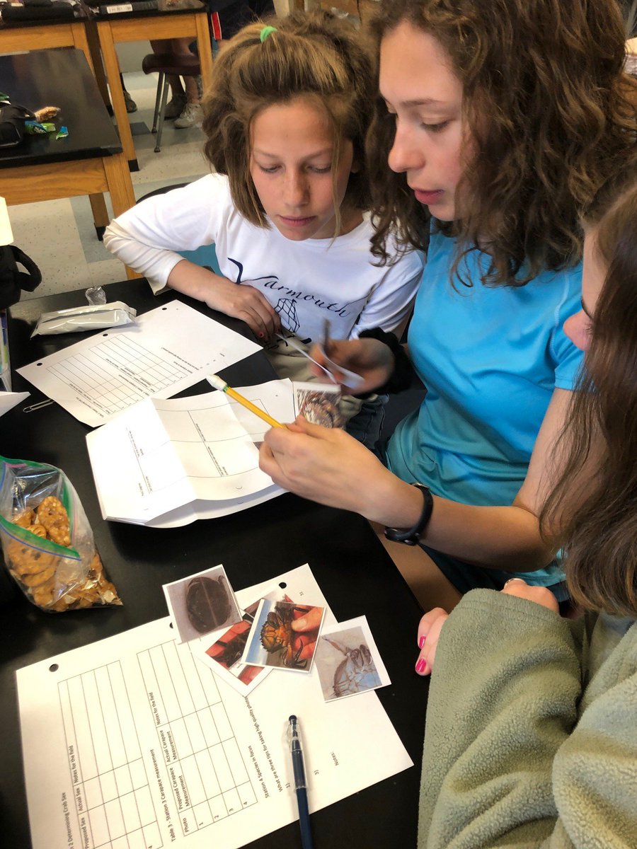 morgancuthbert's tweet photo. Ss having a blast with @GMRI Vital Signs Pilot. Getting ready for our Mission to the Intertidal Zone with some station lab work.  @MAINETOY @YarmouthHMS Becoming expert scientists. #citizenscience https://t.co/GP0Dt4l548