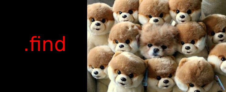 andreasandpiper's tweet image. Find the first dog that is a real dog. #roveronrails #dogcommands #theyregooddogsbrent