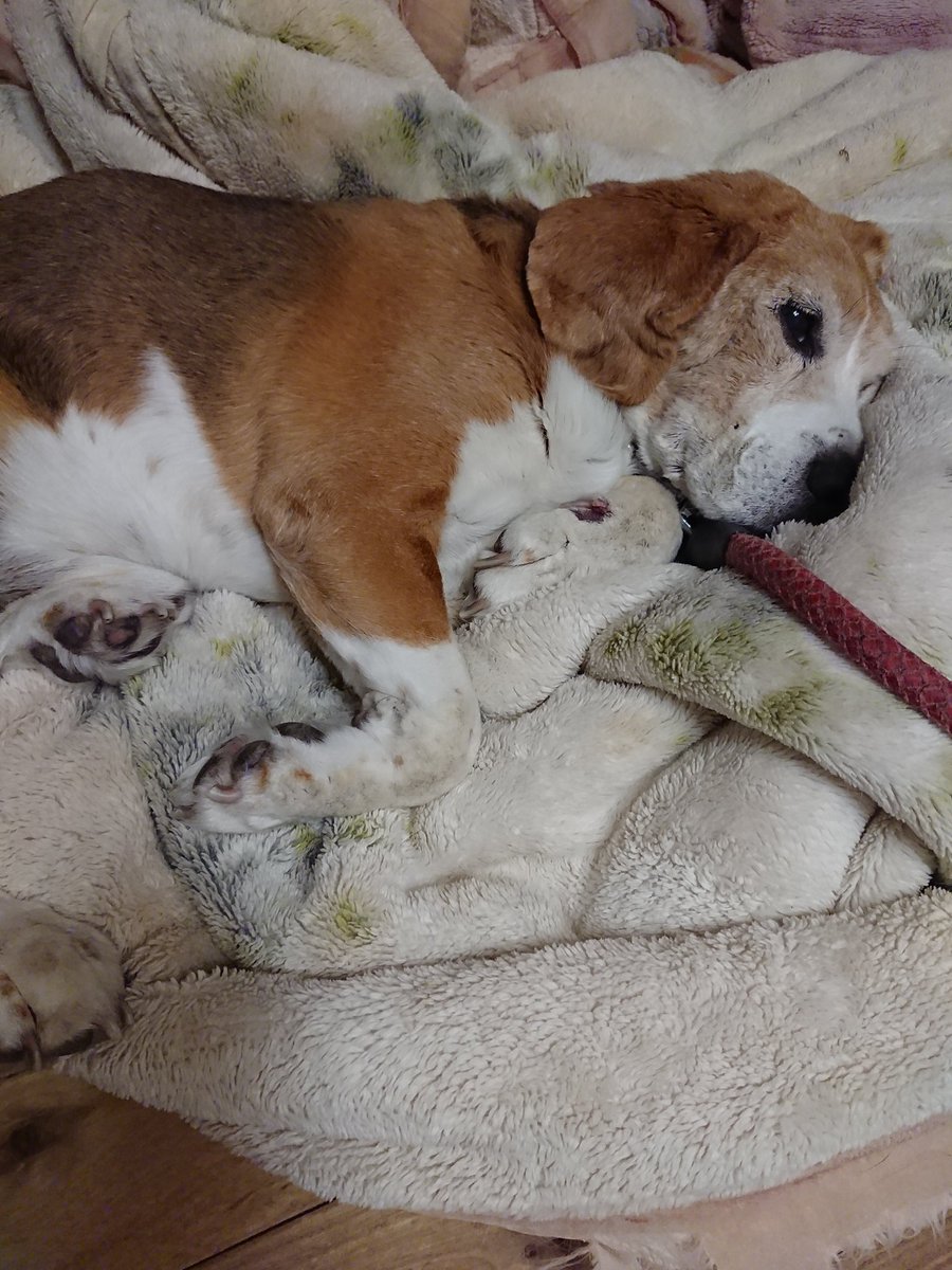 笑ってよ君のために