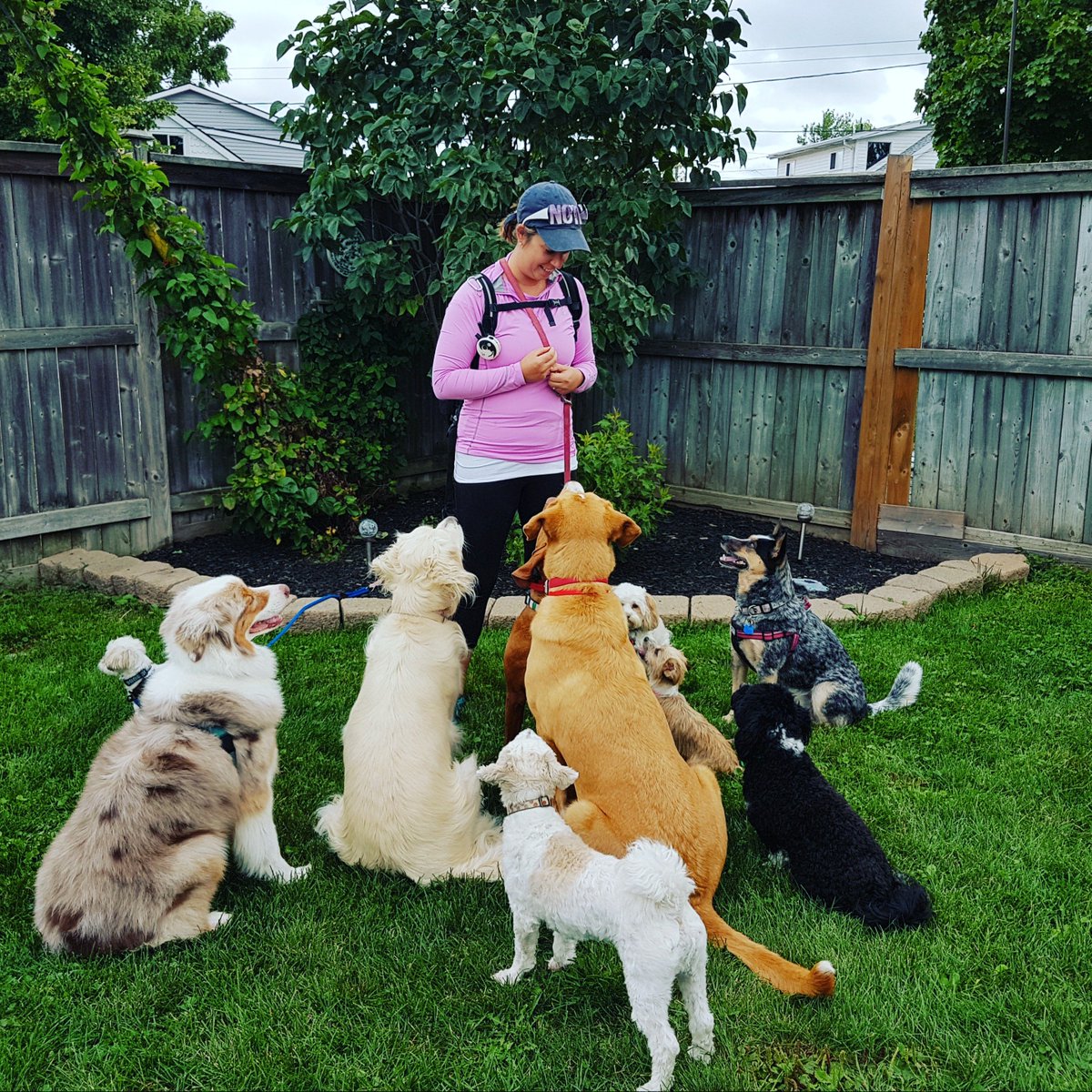 NEW ARTICLE: A Puppy Parent's Guide To #Niagara stcatharinesstreet.com/2019/05/16/a-p… #DogLover #StCatharines