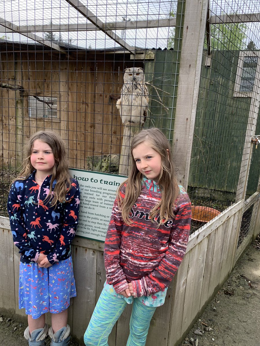 franstar66's tweet photo. S in P4 &amp; L in P2 went to the Owl Centre in Polkemmet Park and Butterfly World https://t.co/8mGj7hbvR1