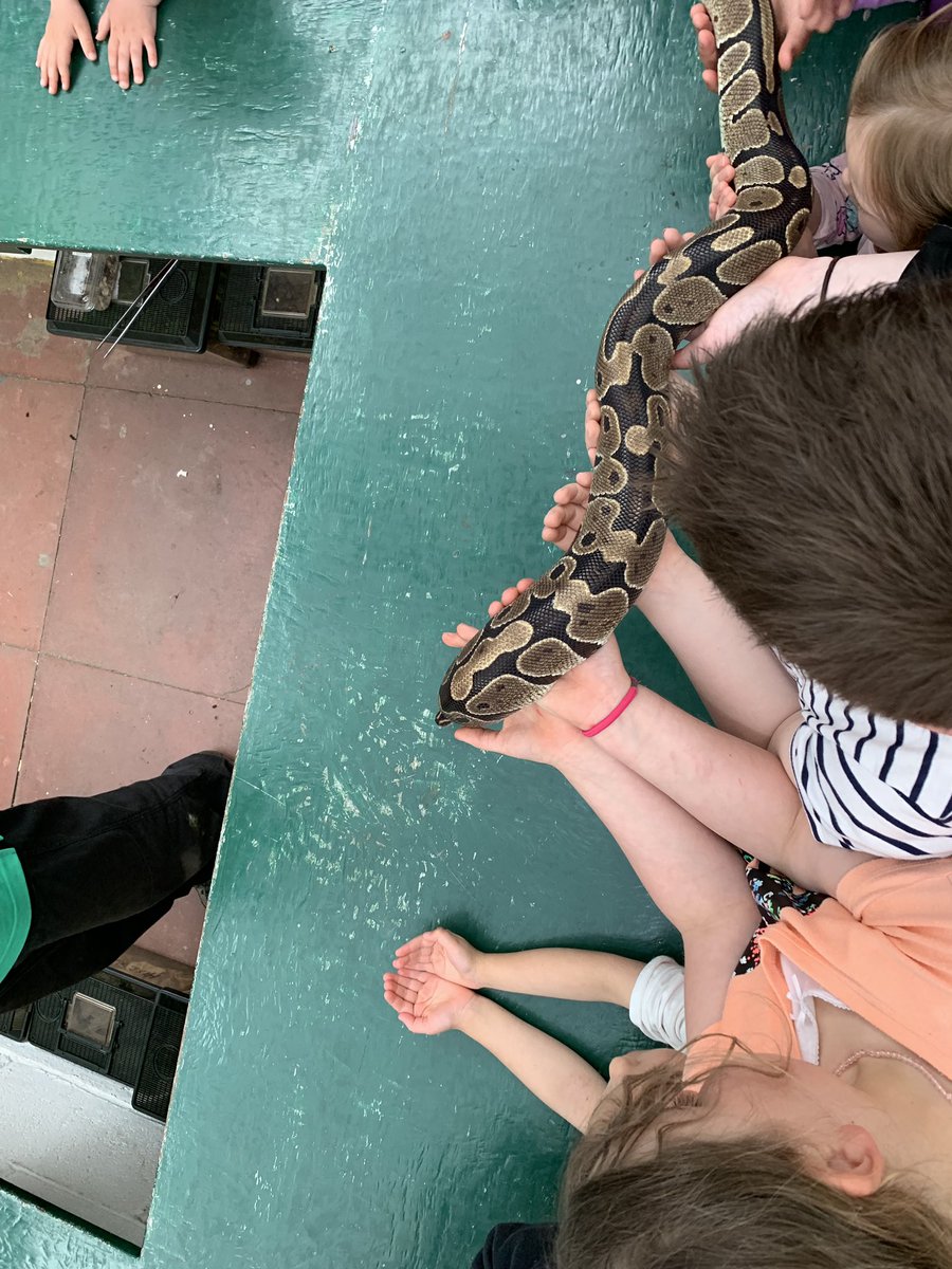 franstar66's tweet photo. S in P4 &amp; L in P2 went to the Owl Centre in Polkemmet Park and Butterfly World https://t.co/8mGj7hbvR1