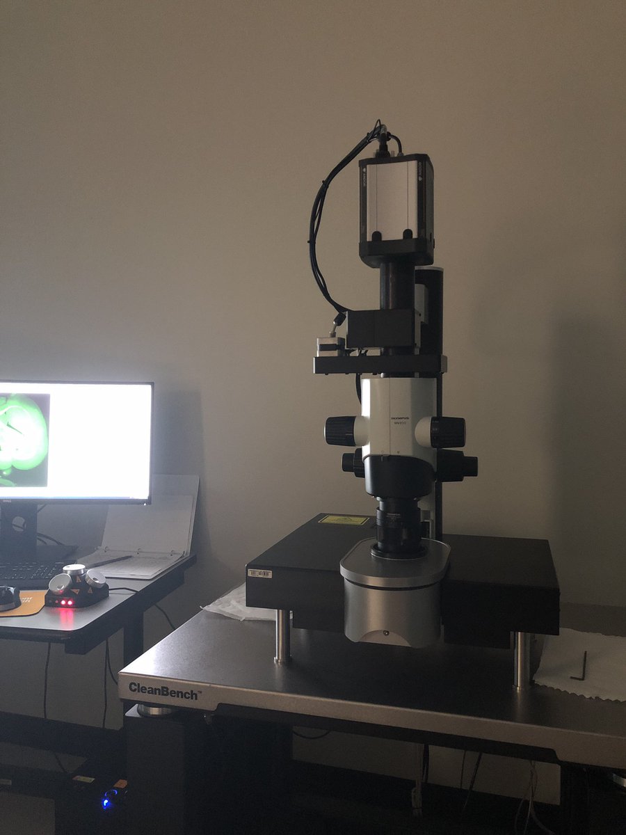 Some mid-thesis writing QT with my favorite (and the best IMHO) instrument on campus, the <a href="/LaVision_BioTec/">LaVision BioTec GmbH</a> and <a href="/miltenyibiotec/">Miltenyi Biotec</a>  light sheet...this is my happy place