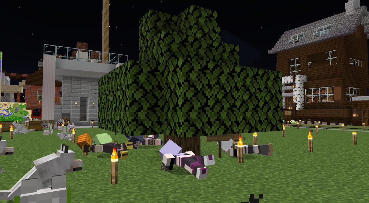 蒼月エリ Eli Hnst Twitter