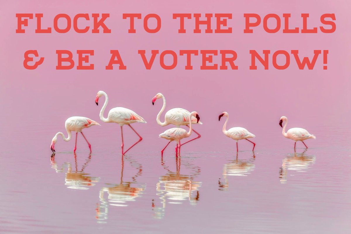 miracleguppy's tweet photo. 💥PENNSYLVANIA PEEPS GO VOTE NOW💥
✔🗳 Special Election Tues May 21 Primary Day🗳✔
🌟SUSAN BOSER & MARC FRIEDENBERG🌟
#TurnPA12Blue #PostcardsToVoters #EveryVoteMatters #EveryElectionMatters #BoserForPa https://t.co/WQ5fhP4ycQ