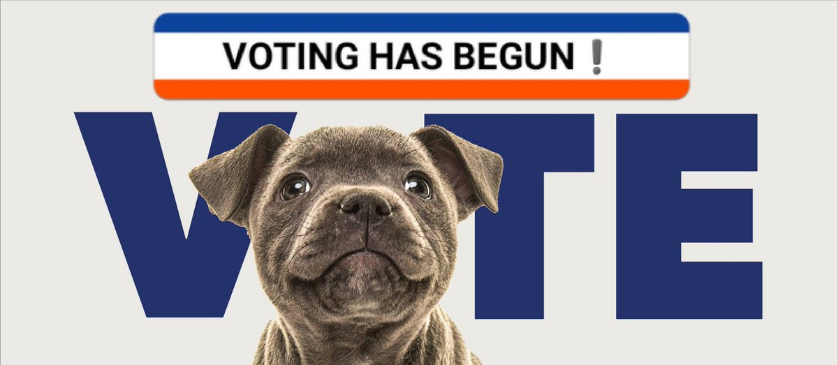 miracleguppy's tweet photo. 💥PENNSYLVANIA PEEPS GO VOTE NOW💥
✔🗳 Special Election Tues May 21 Primary Day🗳✔
🌟SUSAN BOSER & MARC FRIEDENBERG🌟
#TurnPA12Blue #PostcardsToVoters #EveryVoteMatters #EveryElectionMatters #BoserForPa https://t.co/0Ftc2rIWaI