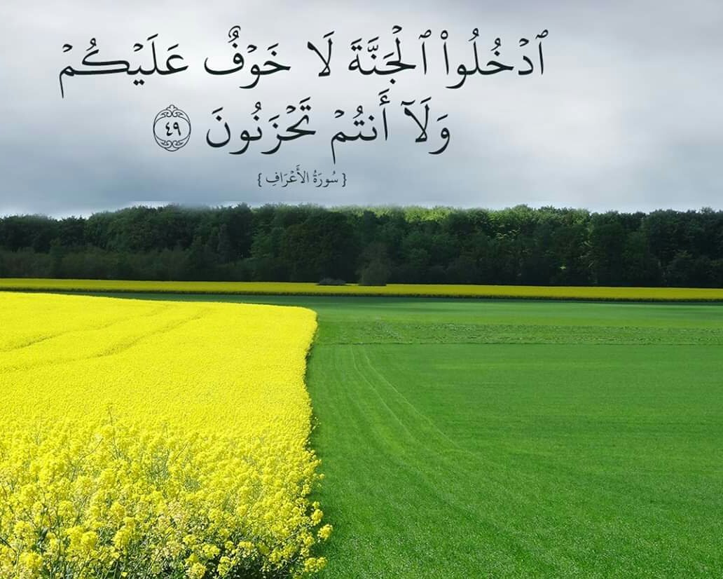 اللهم اجعلنا من اللذين لا خوف عليهم ولا هم يحزنون يارب