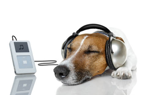 We continue to wait for the CRTC to put our application on a Public Hearing Agenda! Patience will be rewarded. #valleyfm #crtc