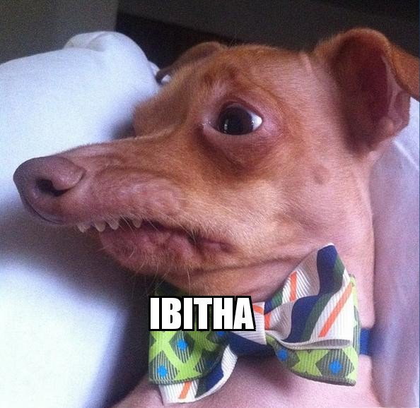 thomasjuliusb's tweet photo. Jetzt auf einmal alle so #Regierungskrise #Ibizagate #ibizavideo #ibitha https://t.co/jpvPsGWnhF
