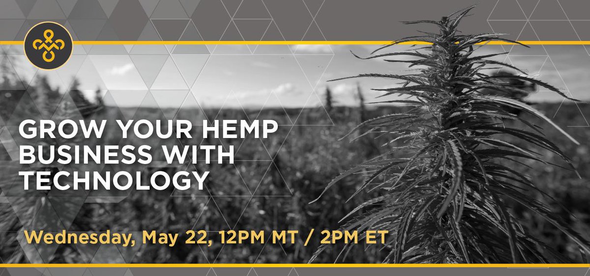 BizHemp's tweet photo. Do you find yourself wondering how #hemptechnology plays a role in running a profitable business? If so, join our webinar on Wednesday, May 22 to learn from @MJFreeway 's Jon Emery, Ryan McQuillan and our CEO @cluns4rd
Register here: https://t.co/yA8i7PvkXl https://t.co/Q5dJBMSv7O