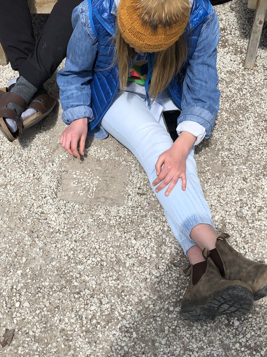 mshicksteaches's tweet photo. Art happens everywhere @TLDSB_TLAC !!!
#TLAC2019 #natureart https://t.co/khL09lOzy5