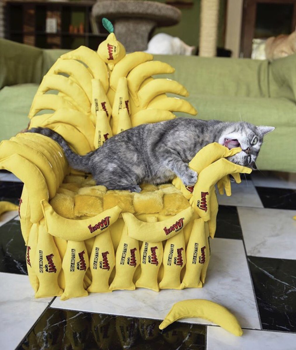 Можно ли кошкам банан. Кошка банан. Кот бананчик. Кошечка в банане. Бананья кошка.