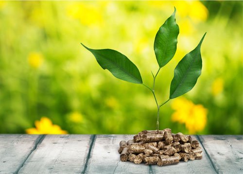 <a href="/Bioenergy_Conf/">Bioenergy Conference</a>
bioenergymeet.blogspot.com  
Register soon delegate registrations with 50% offer contact us bioenergy2019@gmail.com