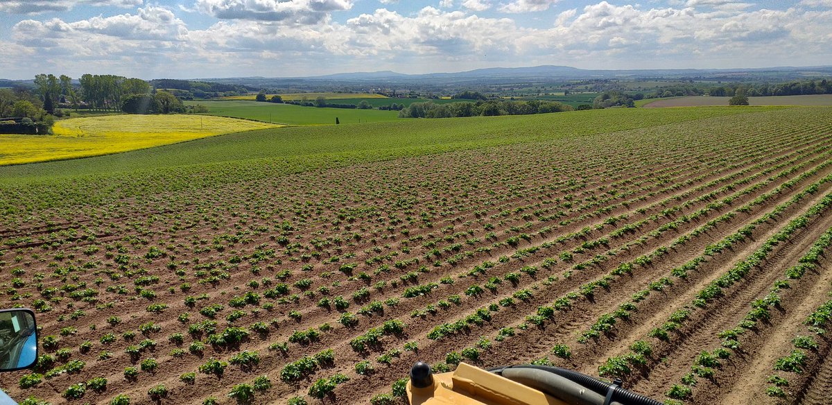 Blight spraying begins. #harvest19  #viewfromthesprayer #cleehills #shropshire