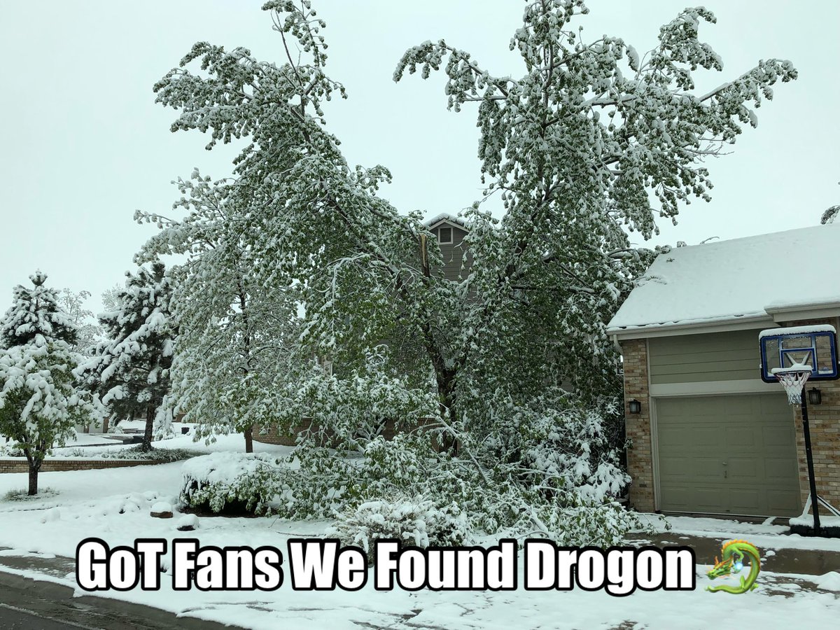 MangySanta's tweet photo. Drogon is in Lone Tree 😄#Gameofthrones #Gameofthronesmemes https://t.co/xXGqxZCaOW