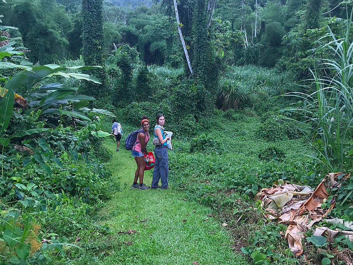 HuertoSemillaPR's tweet photo. 🌱🌱🌱semillas en la montaña 💦💦💦 https://t.co/9sh96FxO28
