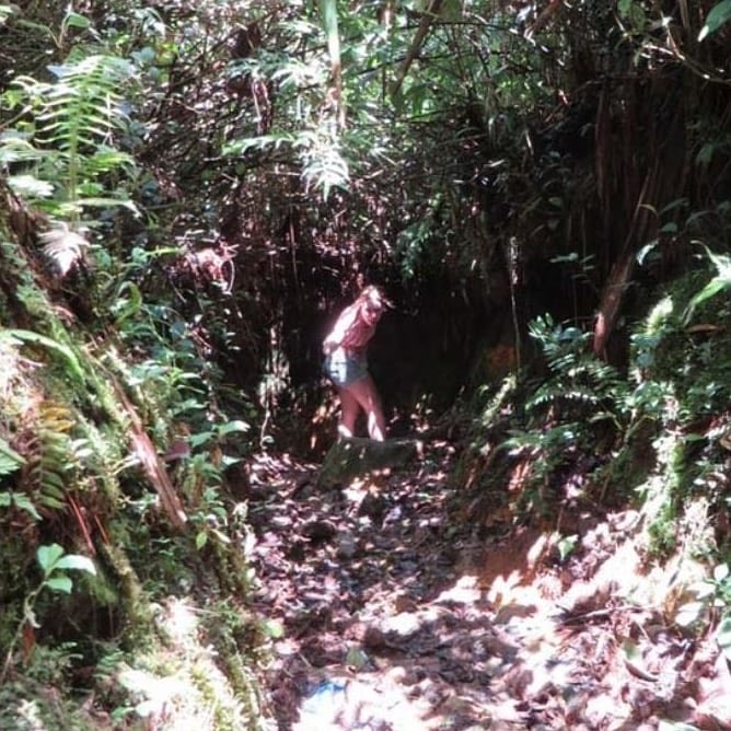 Kriskremers Twitter Search