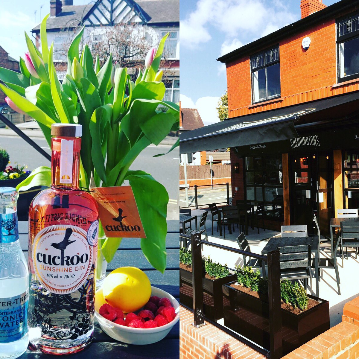 SherringtonsB's tweet photo. Tonight you should be drinking this on here, just sayin! @CuckooGin @BrindleDistill #sunshinegin #doubledutchtonic #stayinwigan #sunsoutginsout https://t.co/tYdYJ6aLlO