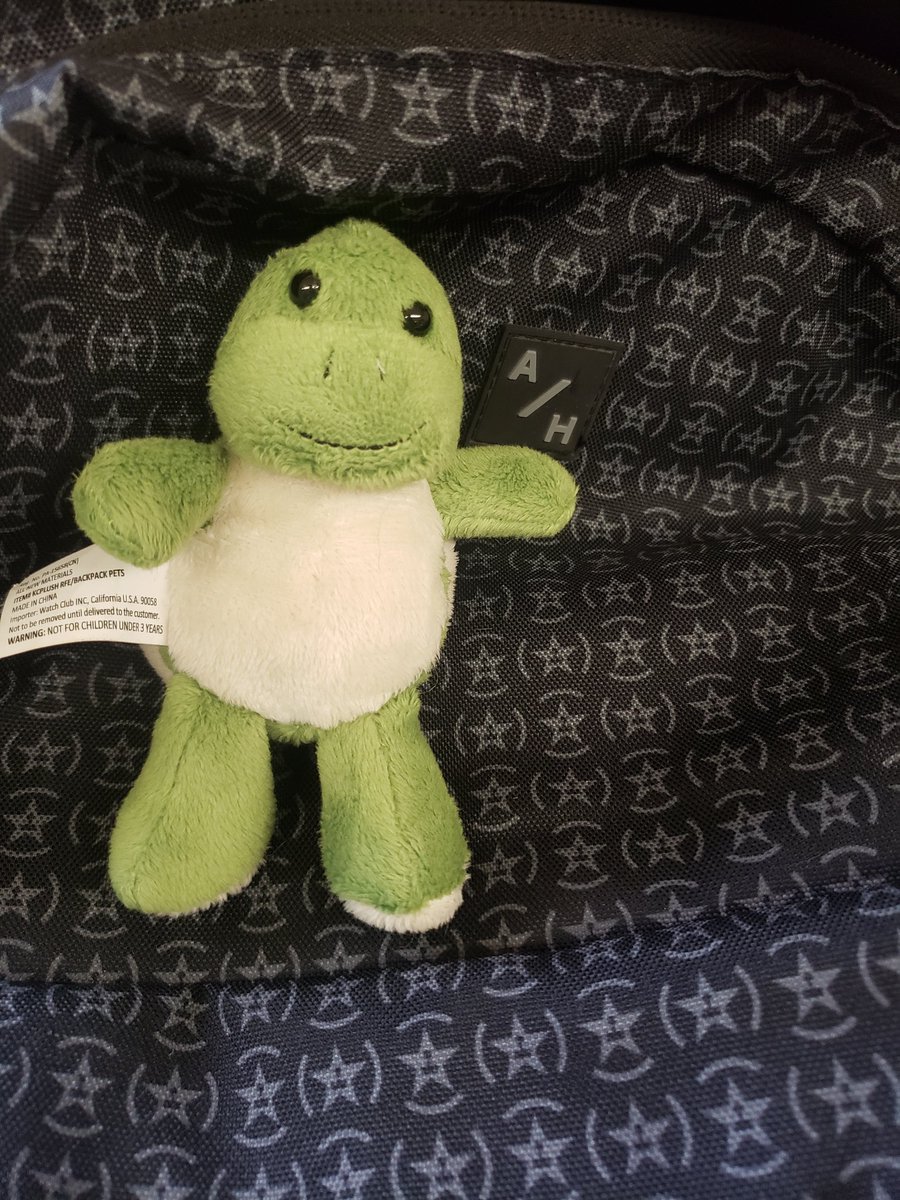 ToriJCaboose's tweet photo. Got a little turtle friend to go on my @AchievementHunt backpack. He's ready for his adventures, @_TrevorC. #TurtleArmada #TurtleBoat https://t.co/hUbtiUiKq7