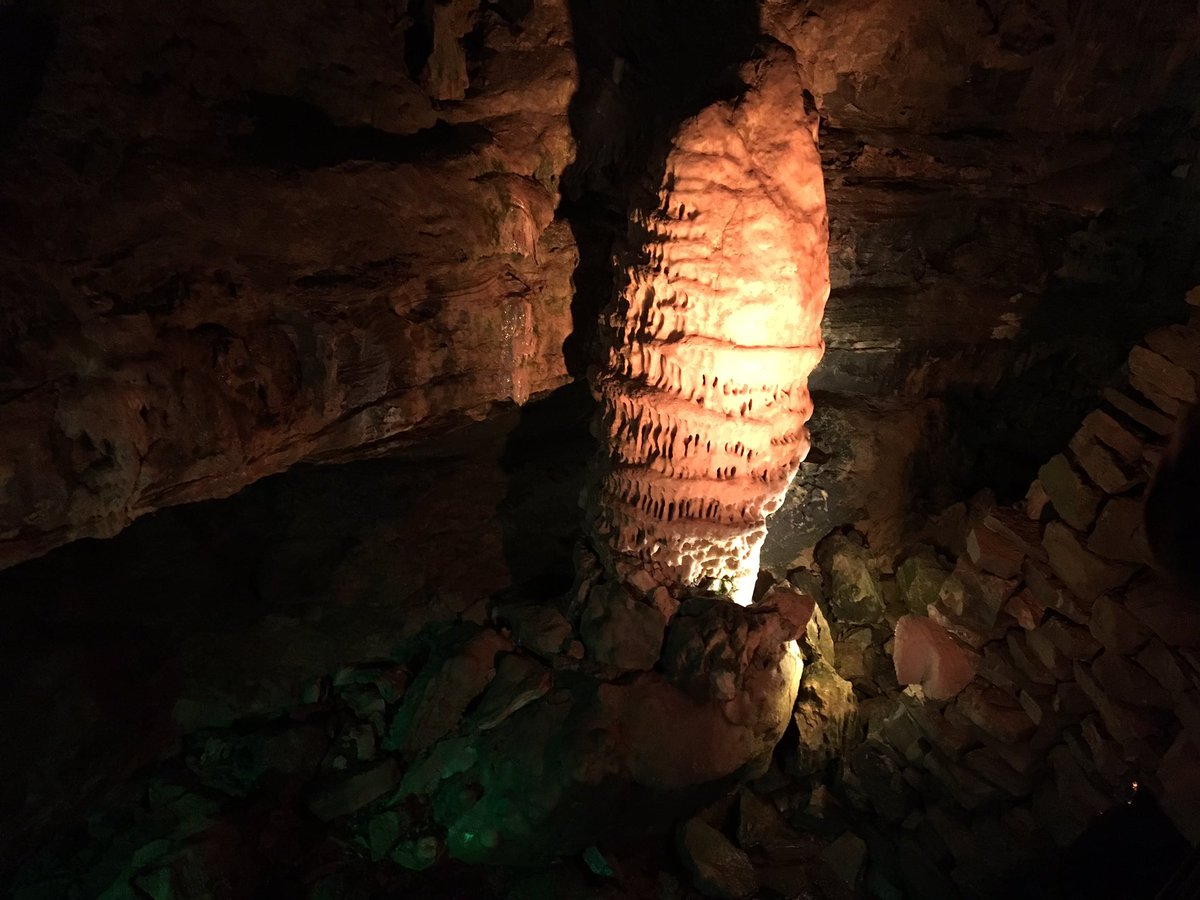 Ryan Hallenbeck tweet media