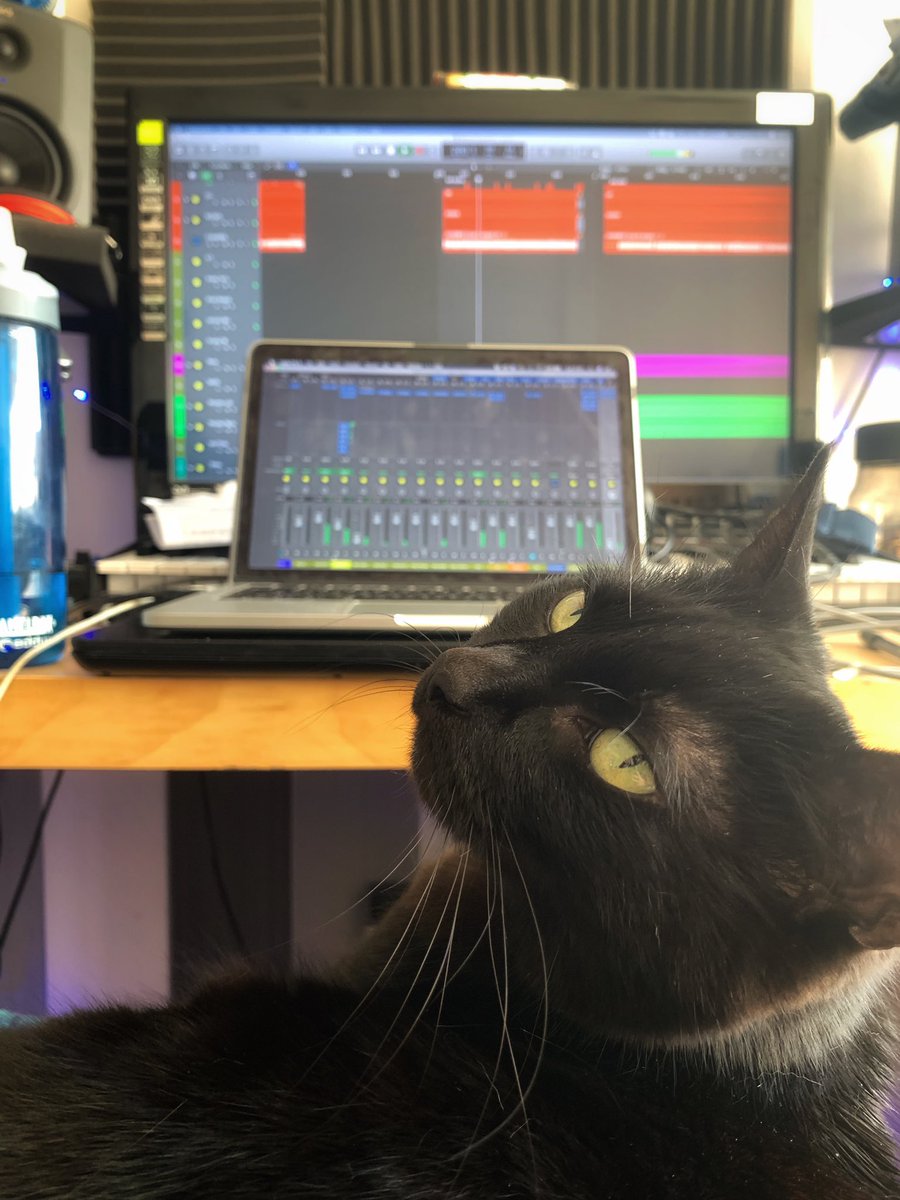 Announcement: Any bands that receive work from me after today are obliged to provide an Assistant credit to Torvi. Thanks.