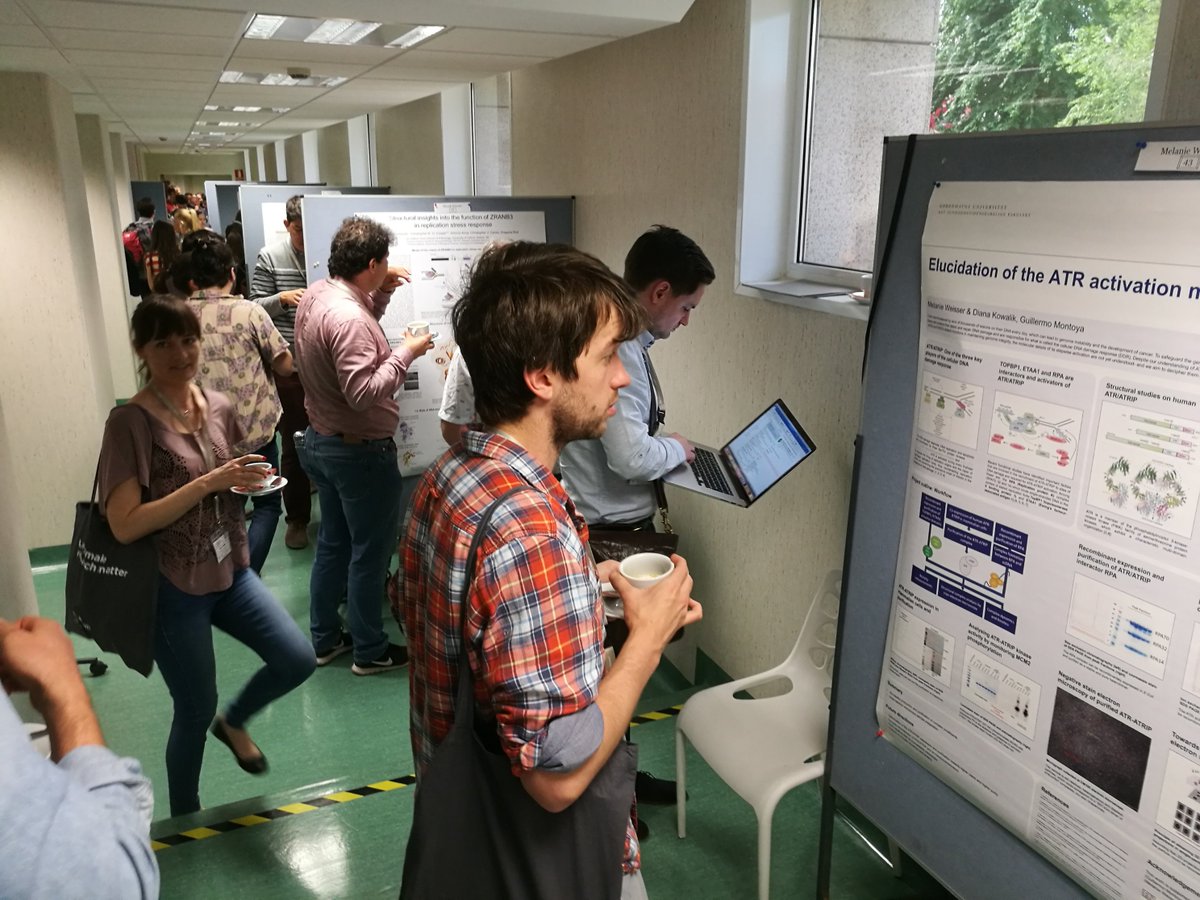 CaixaResearch's tweet photo. The #CFM_DNADamage meeting is now in full swing!
Experts from all around the world are participating in this 3-day discussion @CNIO_Cancer on structural biology techniques which may be significant in the future of #CancerResearch.
#CommittedToResearch @FundLaCaixa https://t.co/h9DsAqa1Ds