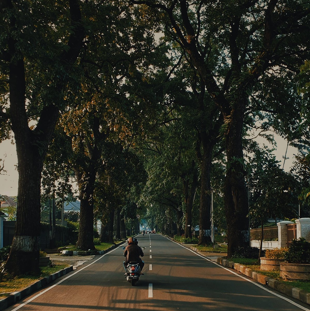 Madariyanhadi's tweet image. Bandung, dikala sore itu. Menyejukkan..

Kota ini selalu punya sejuta cerita didalamnya, dan siapapun yang pernah kesini akan selalu merindukannya.