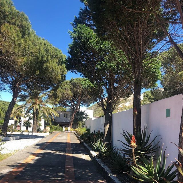 InterludeHotels's tweet photo. Benvenuti a @villasaracina ☀️ .
.
.
#interludevip #sicilyexperience #vulcano #isoleeolie #aeolianislands #aeolian #trekking #cratere #sicily #travel https://t.co/844Uz7vfwI