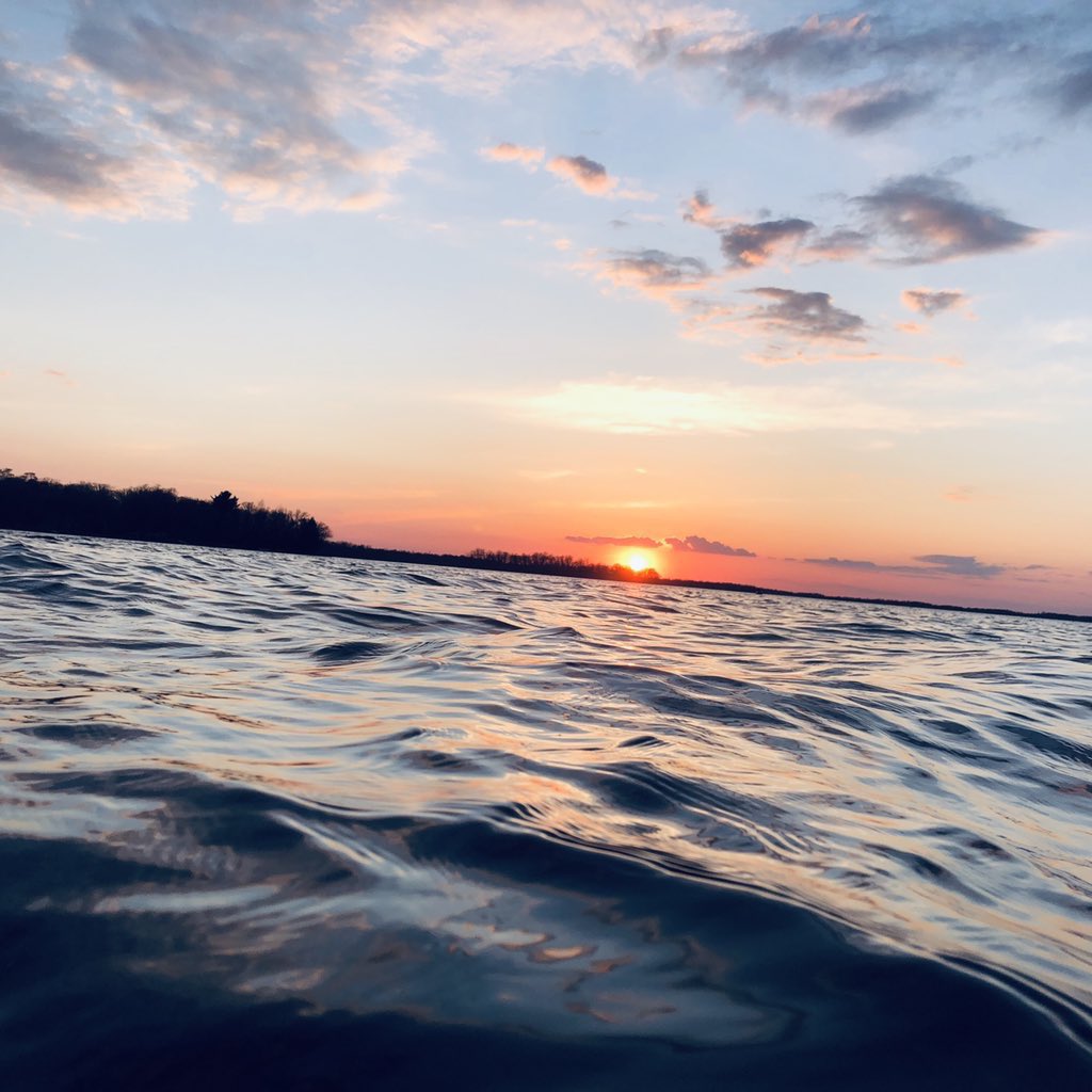 Everything Minnesota tweet media