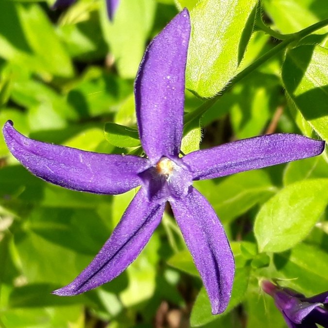 Mrs_Disbelief's tweet photo. Et la nature est si belle maintenant!
#Frankrijkmei2019 #Arthous https://t.co/CymmLREoUk