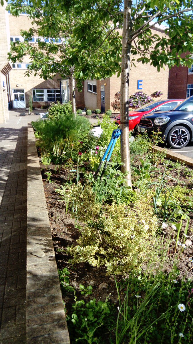 CMetCommunityGarden tweet media
