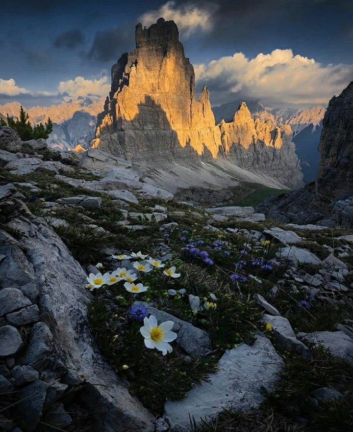 VisitFVG's tweet photo. Quanta bellezza le #dolomiti friulane!
Grazie a Bruno Pisani per la bellissima foto.
#fvglive https://t.co/cDZOBfuIBO