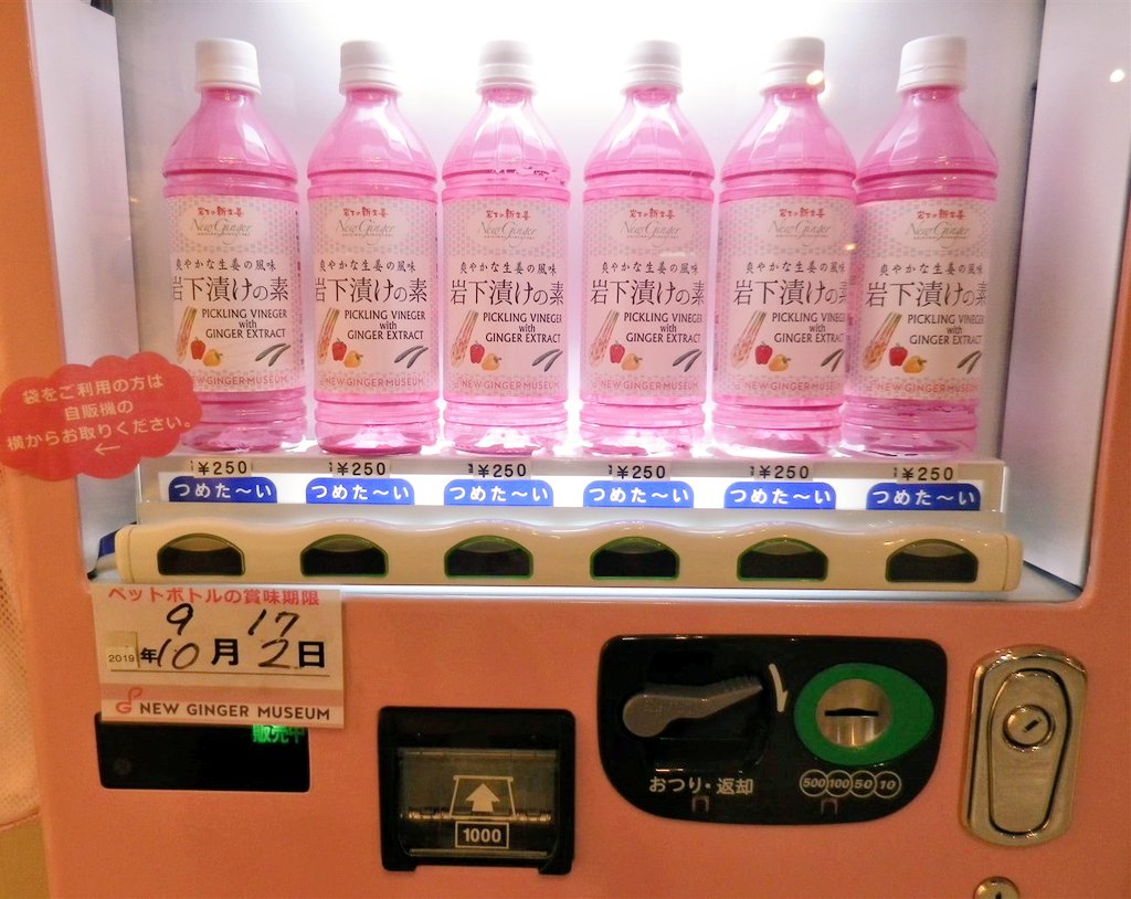 追加写真。生姜ヘッドをかぶって生姜のペンラを振りながら生姜の隣に座る勇気は無かったけど、自販機の浅漬けの元は買ってきたよ。 