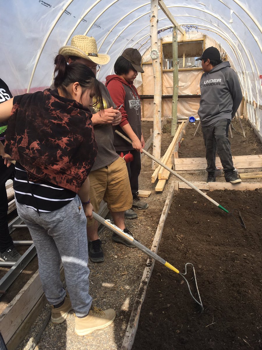 MichaelRobidoux's tweet photo. First day of planting in Wapekeka hoop house. Grade 7 and 8 students voted on carrots, peas, lettuce and some beautiful nasturtiums to brighten things up. https://t.co/4mjqpYOJZQ
