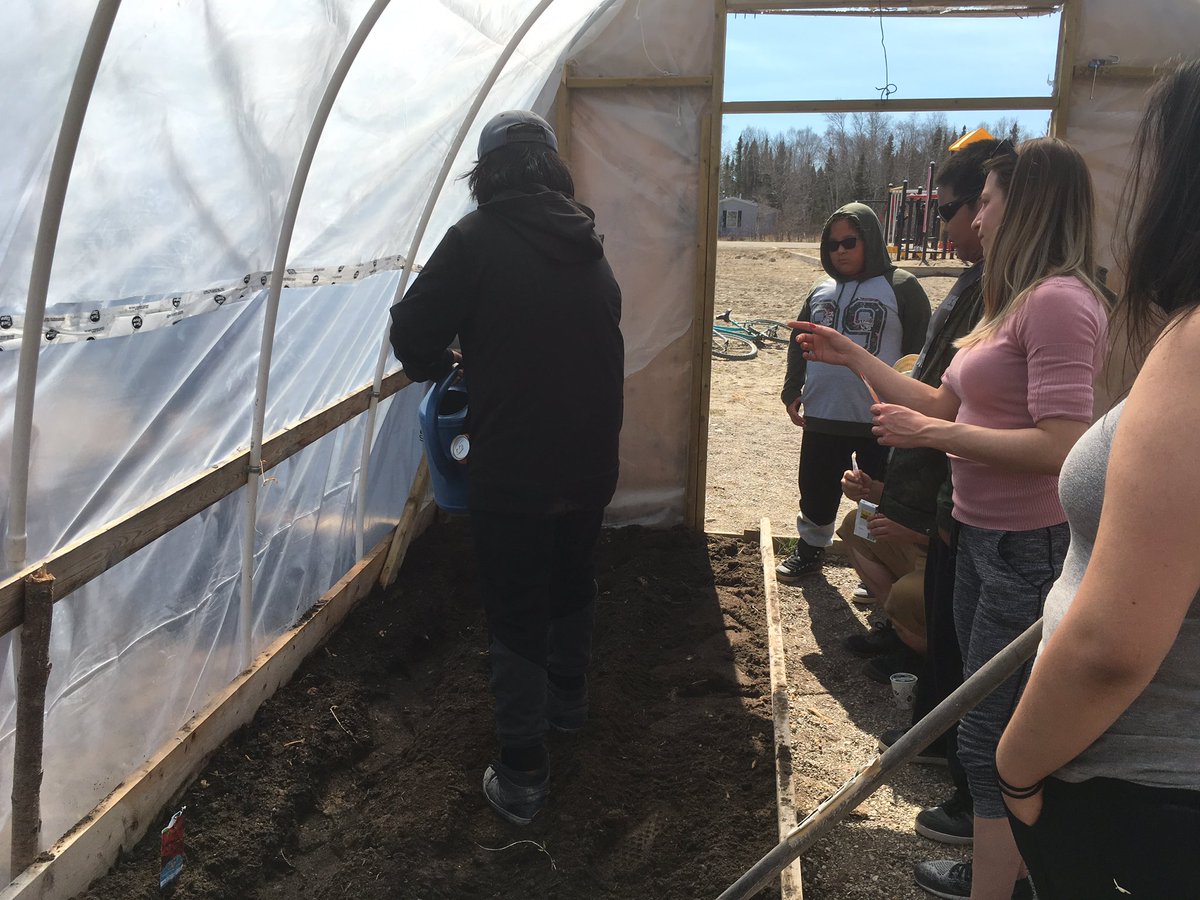 MichaelRobidoux's tweet photo. First day of planting in Wapekeka hoop house. Grade 7 and 8 students voted on carrots, peas, lettuce and some beautiful nasturtiums to brighten things up. https://t.co/4mjqpYOJZQ
