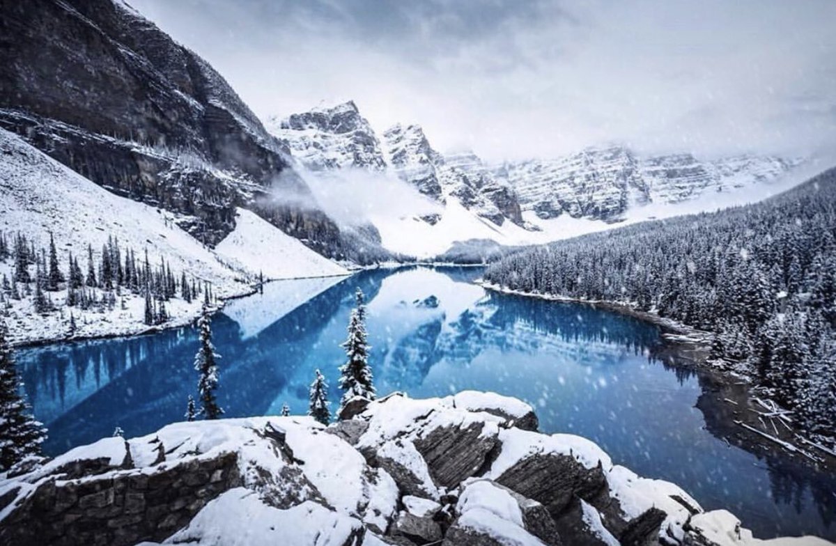 Moraine Lake Blue 🌹