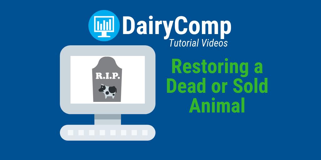 Accidentally marked the wrong cow as dead or sold in your #DairyComp program? No worries! Watch this quick video to learn how to reverse that action. 

Watch here: bit.ly/2Dncjln