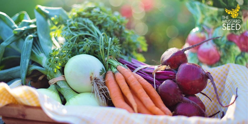 Still in need of items for our vegetable garden: rain barrels, wheel barrows, shovels, cardboard, polyfill, gravel, fertilizer, large planters, watering cans, seedlings and canning equipment. Contact allysonpaynter@theseed.ca to donate.