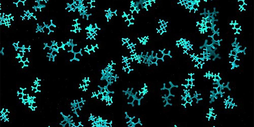 CD_AACR's tweet photo. From ResearchWatch: Tumor-initiating cells are reliant on #methionine to promote cancer @astar_research @NUSingapore @NUSMedicine @csi_singapore #MAT2A #metabolism #ResearchWatch https://t.co/kf9wndMHZw https://t.co/487xMj78cw