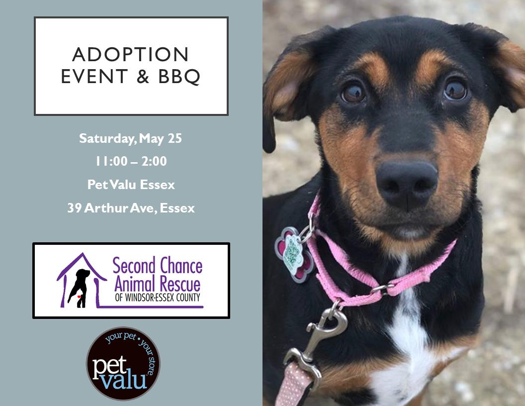 scarescue's tweet photo. Join @scarescue on Saturday, May 25 at 11-2 at Pet Valu Essex for an adoption event and BBQ! #AdoptDontShop #rescue #RescueDogs https://t.co/puaOVWNEAl
