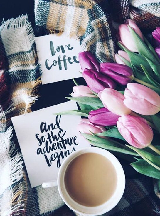 Who else is ready for the summer? 🥐 We are ready to take care of all your catering and special orders! For the home or office, #JustBakedNowakowski has got you covered! 🥖🥪🥯🍞