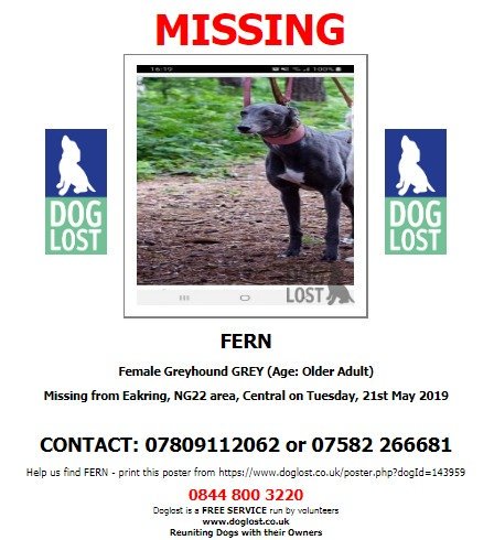 DogLostUK's tweet photo. #LOST #DOG FERN
Female #Greyhound Grey Older Adult
#Missing from #Eakring #NG22 
Tuesday 21st May 2019 
#LostDog #ScanMe @SAMPAuk_ @VetsGetScanning  
https://t.co/qMaHXYX3BI https://t.co/us8bMOwjX0