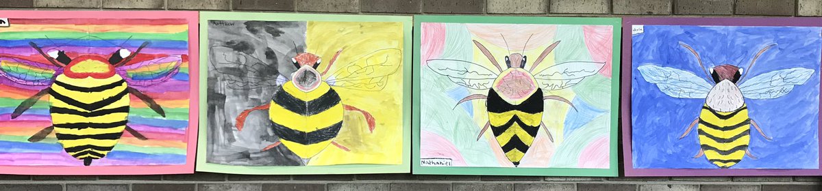kyjoha07's tweet photo. 3rd graders learned about reflective symmetry to create these giant bee images using mixed media. 🐝 @CRCoolidgeElem @CRSCHOOLS https://t.co/3WLXpRbbCJ