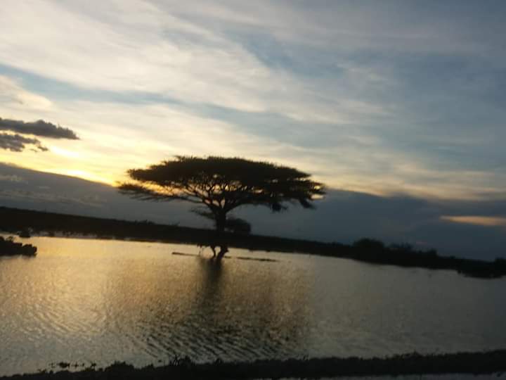 FarahDWarsame's tweet photo. Duleedka Magaaladatan #Cadaado,
Roob Iyo Barwaaqo, Cad Iyo Caano Insha allh, Waa Sanad Barwaaqo Ah Sanadkaan Roobab Badan Ayaa Da'ay, Abaaro Daran Ayaa Laga Cabsi Qabay #Alxmdllh.
πΈ @MDhagacade
#GU2019
#Galmudug
#Cadaado
#Somalia https://t.co/aKeU8h9yQB